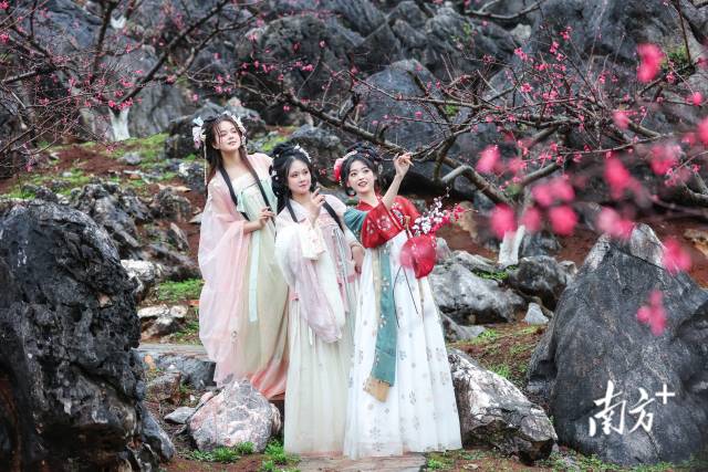 千载“顶流”｜“诗豪善郡气象万千”系列报道六(图13)