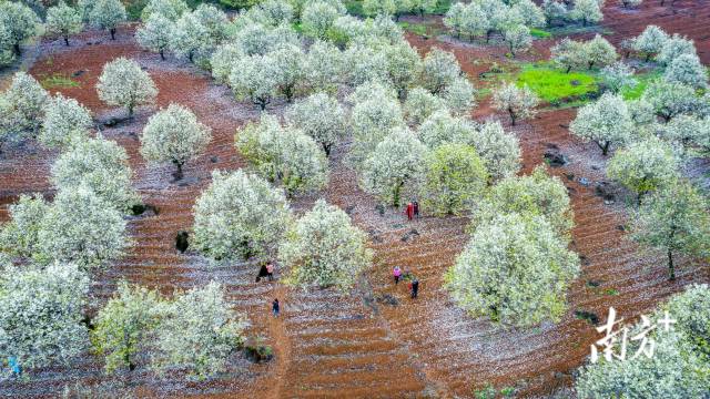 千载“顶流”｜“诗豪善郡气象万千”系列报道六(图14)
