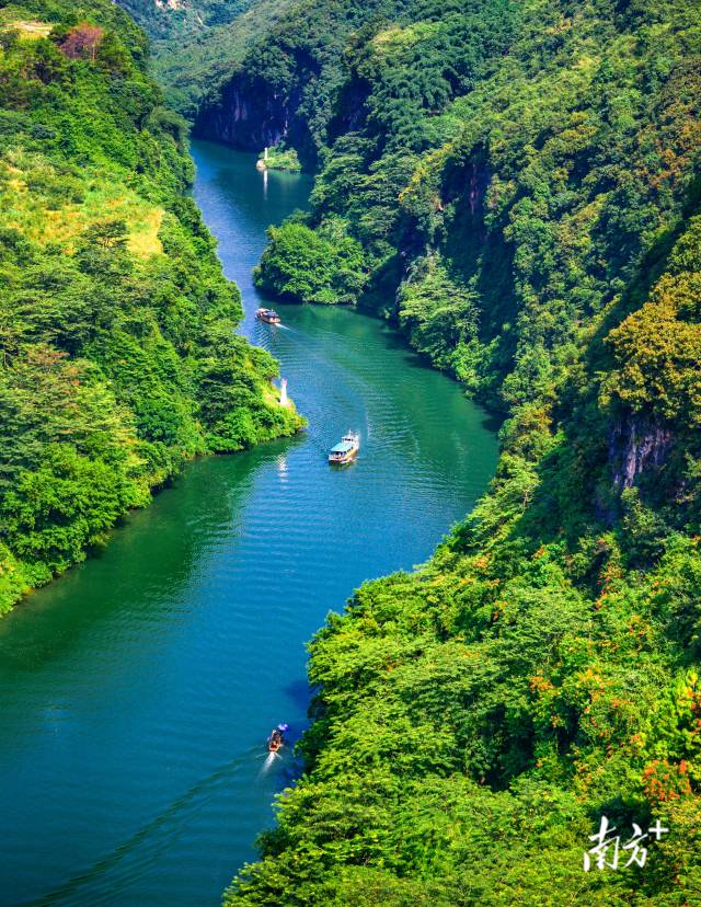 千载“顶流”｜“诗豪善郡气象万千”系列报道六(图5)