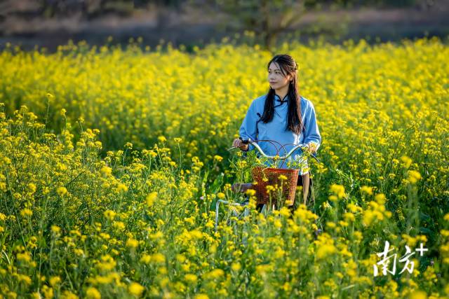 千载“顶流”｜“诗豪善郡气象万千”系列报道六(图6)