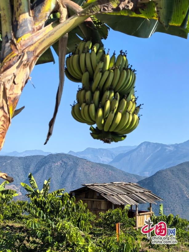 高舜礼：怒江旅游何以从三江并流遗产地脱颖而出(图2)