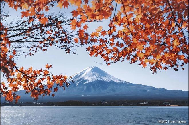 日本入境新政：交2000日元才能进日本还有人去吗？(图2)