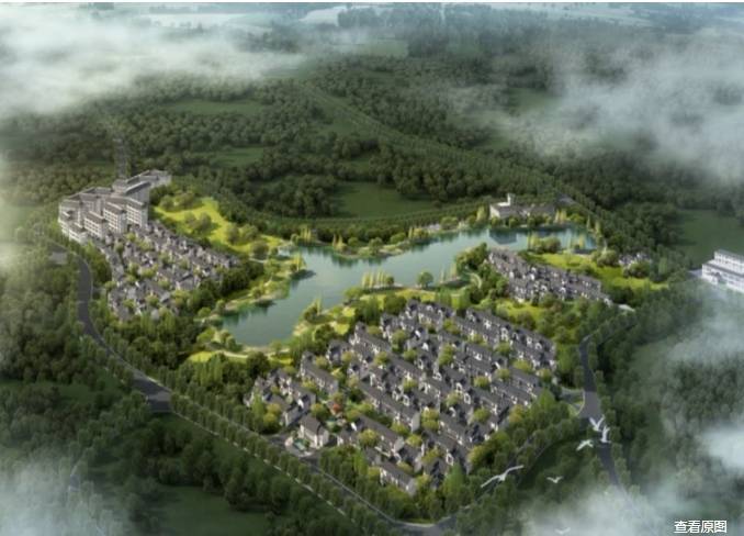 绿城庐境桃源【合肥所有楼盘-在售楼盘大全】(图3)