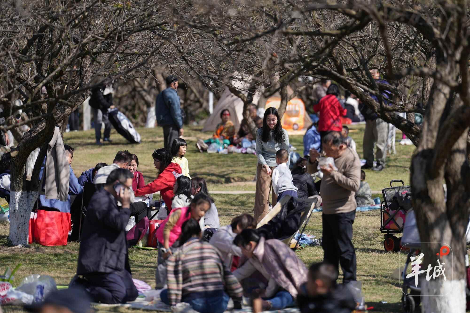 广东文旅成了全国“显眼包”？从30%增速拆解“体验经济”硬核玩法(图4)