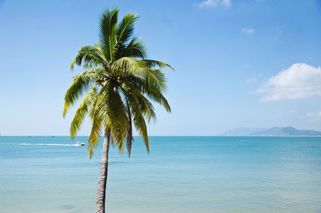 z6尊龙平台：三亚连锁品牌旅行社分社推荐资质齐全全域旅游服务实力标杆(图2)