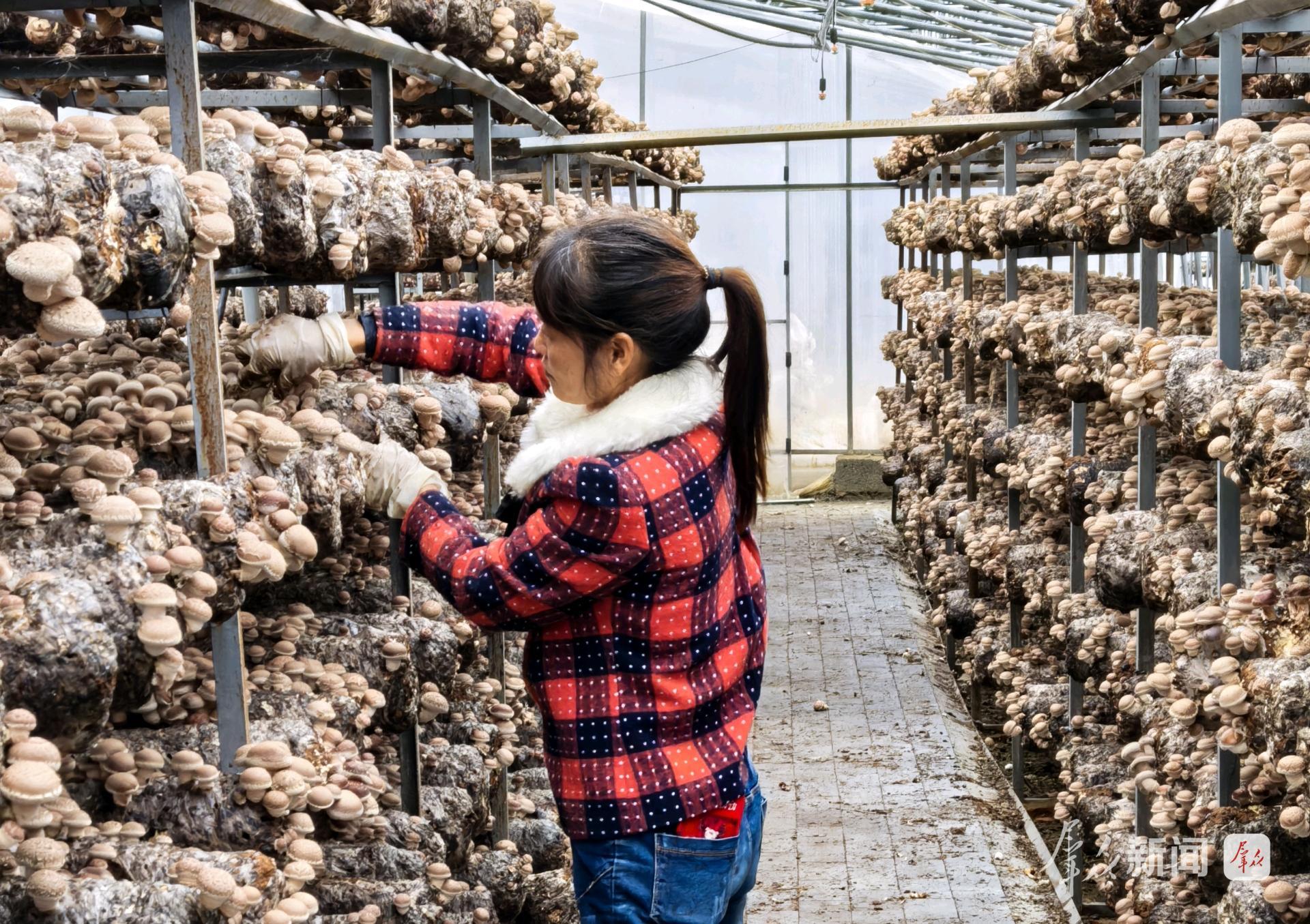 从“生态守护”到“价值跃升”(图1)