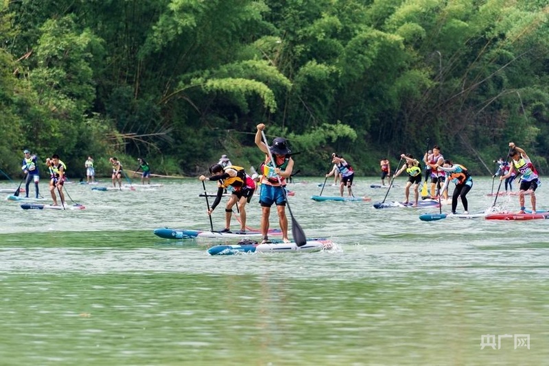 高质量发展看中国｜“媒体+”赋能东西部协作推动粤黔农业双向奔赴(图3)
