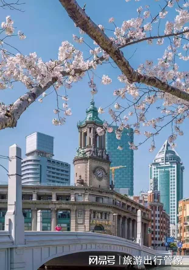 z6尊龙·中国网站：权威发布｜2026上海口碑好十大旅行社魔都深度游放心选攻略(图2)