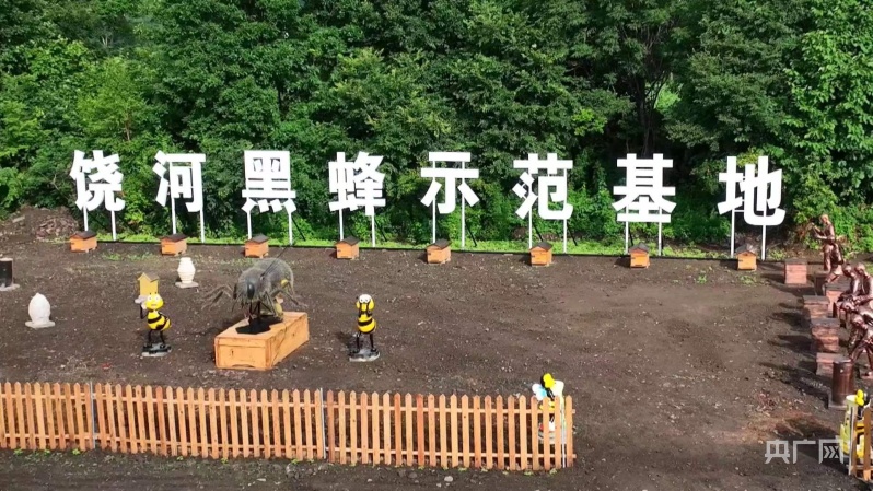 z6尊龙平台：“黑土优品”看龙江丨饶河东北黑蜂：小蜜蜂撑起大产业(图2)