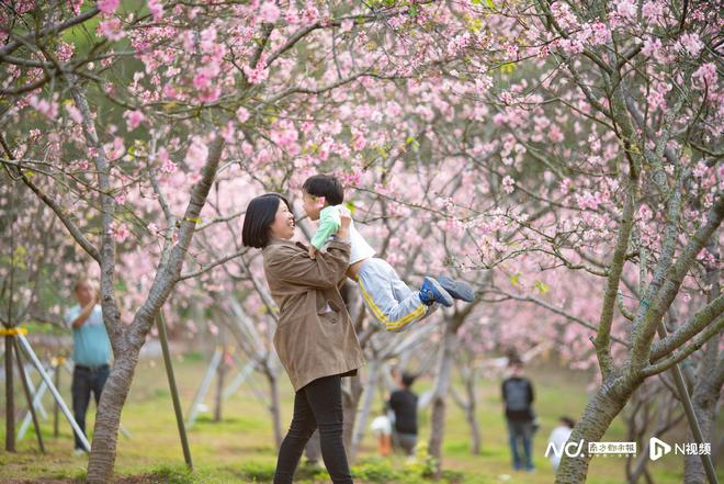 千年岗城焕新颜非遗如何点亮广州南沙春日浪漫？(图6)