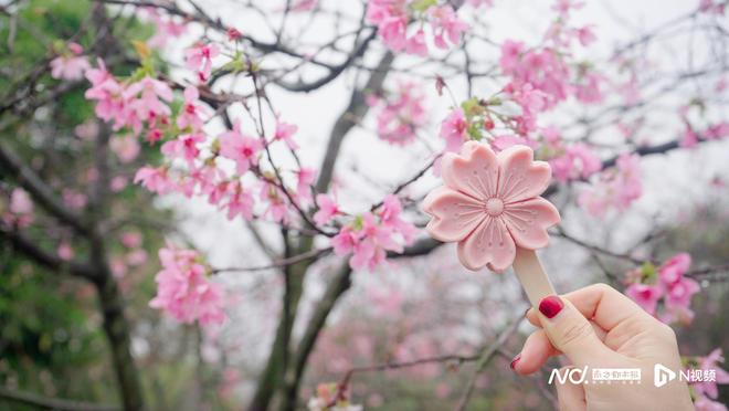 千年岗城焕新颜非遗如何点亮广州南沙春日浪漫？(图3)