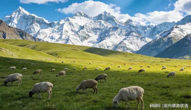 新疆旅行社前十正规靠谱机构推荐本地游客真实口碑榜单(图1)