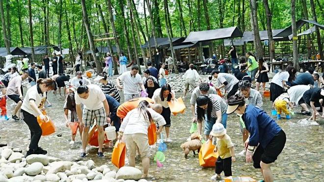 靠崇州这片林地他年营收超2000万元！(图2)