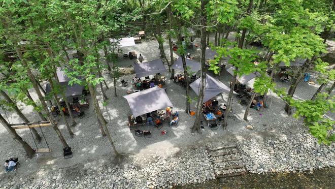 靠崇州这片林地他年营收超2000万元！(图6)