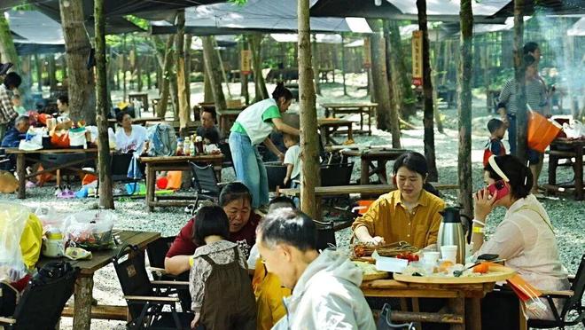 靠崇州这片林地他年营收超2000万元！(图4)