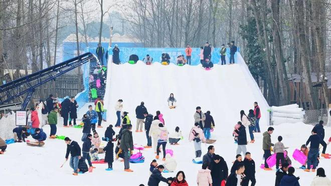 靠崇州这片林地他年营收超2000万元！(图7)