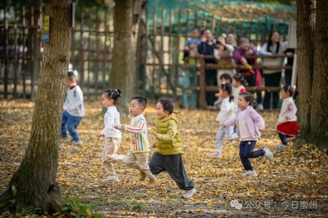 靠崇州这片林地他年营收超2000万元！(图9)