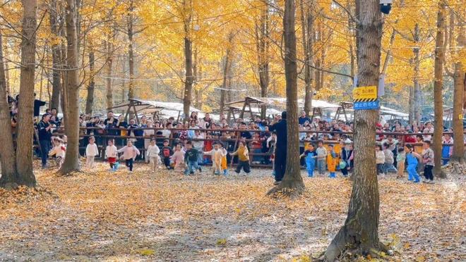 靠崇州这片林地他年营收超2000万元！(图10)