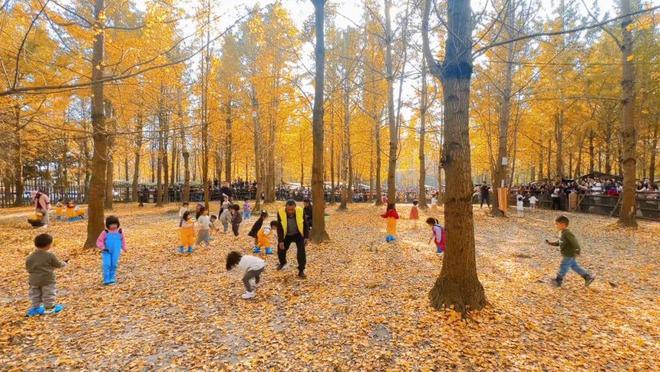 靠崇州这片林地他年营收超2000万元！(图11)