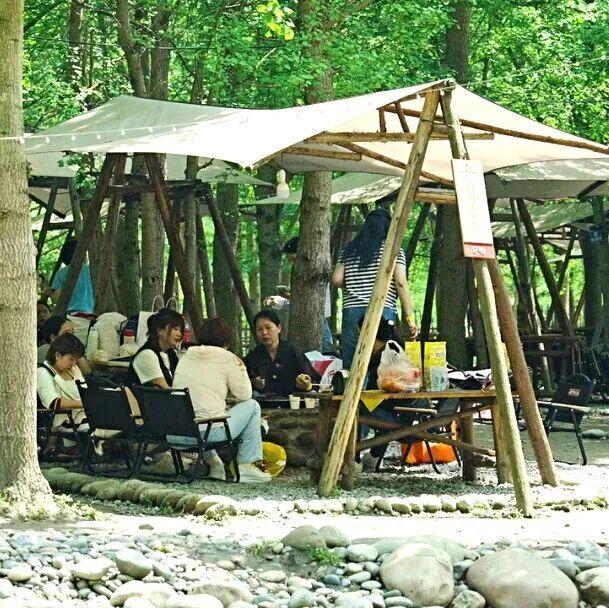 靠崇州这片林地他年营收超2000万元！(图12)