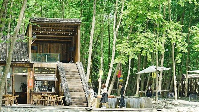 靠崇州这片林地他年营收超2000万元！(图16)