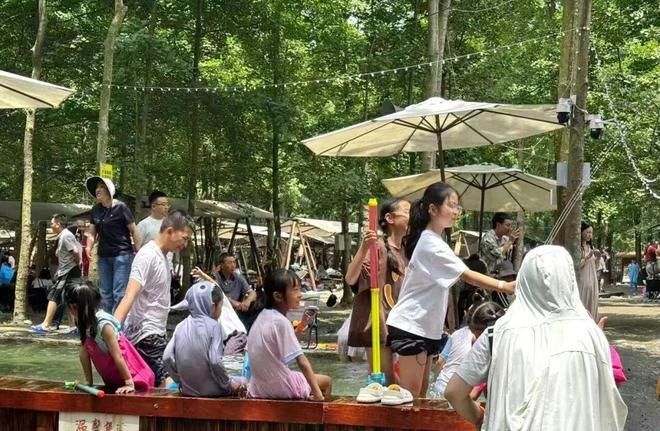 靠崇州这片林地他年营收超2000万元！(图13)