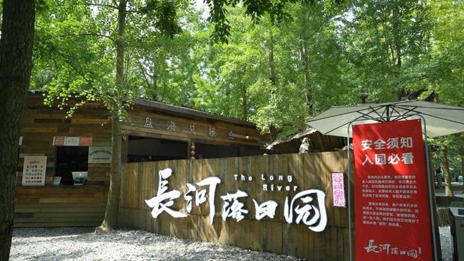 靠崇州这片林地他年营收超2000万元！(图17)