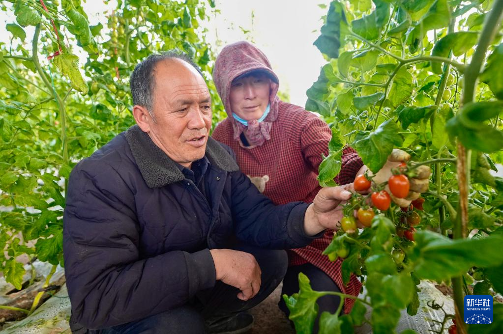 再越六盘山——“三本账”看西海固之变(图2)