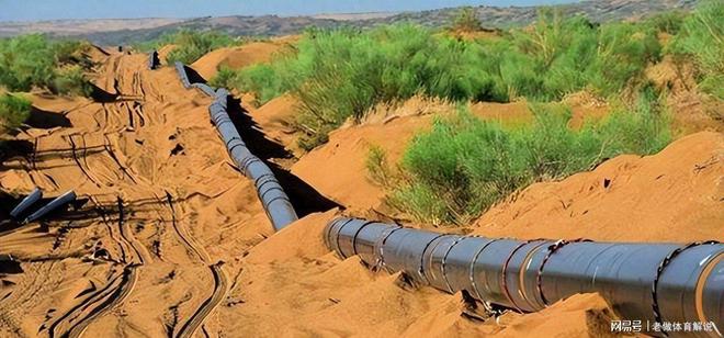 普京也没料到！中亚领袖亲赴北京抢生意截胡俄罗斯锁定中国大单(图7)