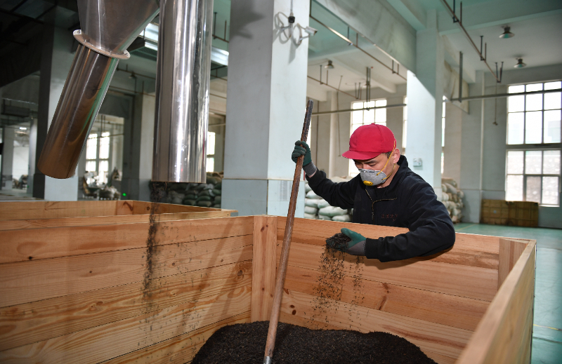 神州答卷丨古都咸阳焕新记(图2)