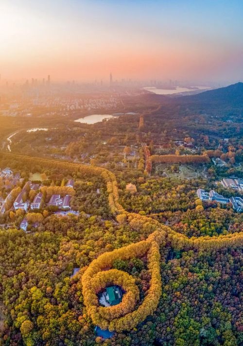 江苏想争这个全国第一可能没那么容易(图4)