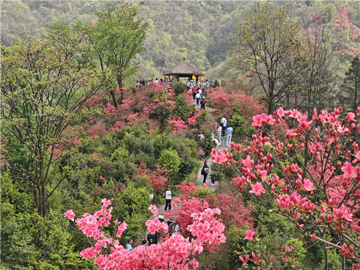 六安市2026年春假实现“资源活化”到“产业增效”(图3)