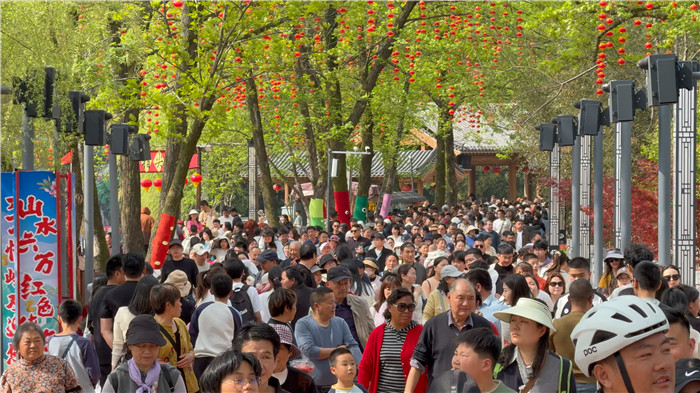 六安市2026年春假实现“资源活化”到“产业增效”(图4)