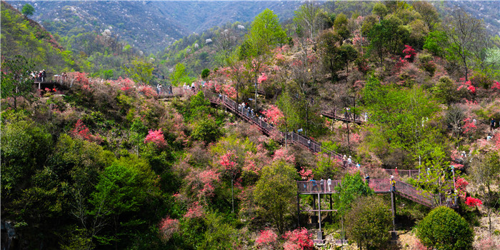 z6尊龙·中国网站：六安以“项目为王”强基焕新绘就文旅融合高质量发展新图景(图2)