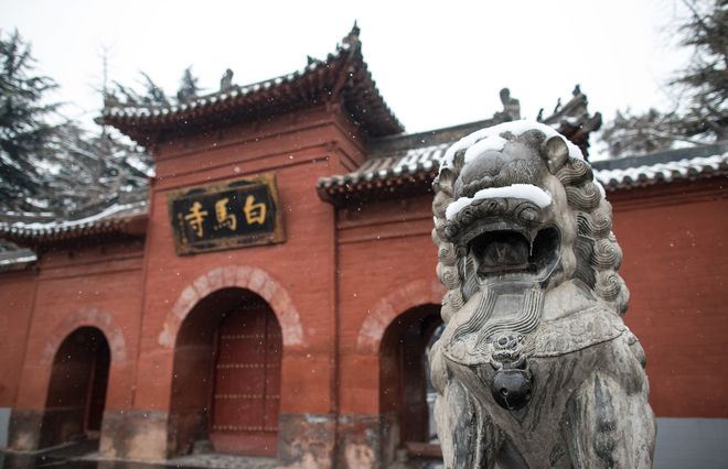 z6尊龙入口：洛阳旅游3天2晚跟团全攻略牡丹园白马寺全打卡纯玩行程附团价(图5)