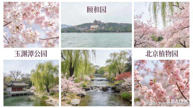 2026北京旅行社前十良心机构综合实力强正规口碑好(图1)