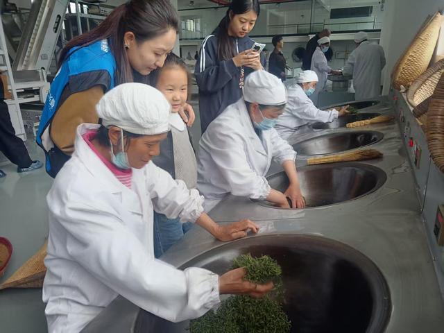 z6尊龙入口：一芽新茶绿全域文旅红——陕西商南以茶为媒解锁乡村振兴共富密码(图3)