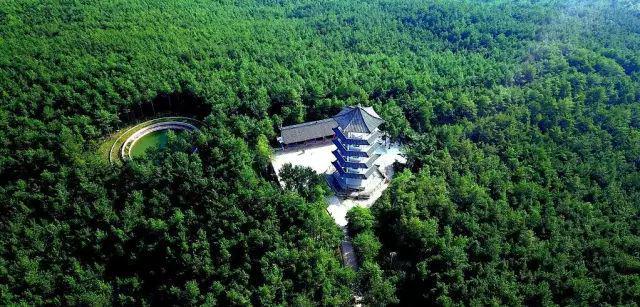 【头条】广元文旅康养集团八载风华：逐梦文旅康养新征程续写发展新篇章！(图4)