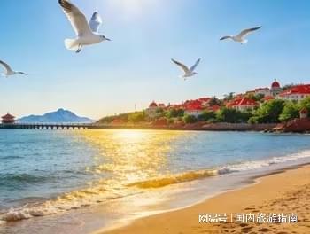 青岛旅行社前十名靠谱口碑TOP：从十强格局看旅游服务新标杆(图2)