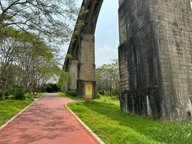 到漳州养身又养心：千年药香唤醒医养医旅山海孕育城市独有风骨(图7)