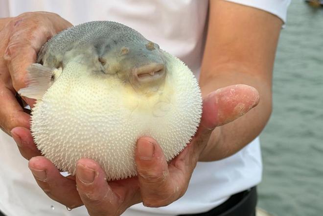 到漳州养身又养心：千年药香唤醒医养医旅山海孕育城市独有风骨(图5)