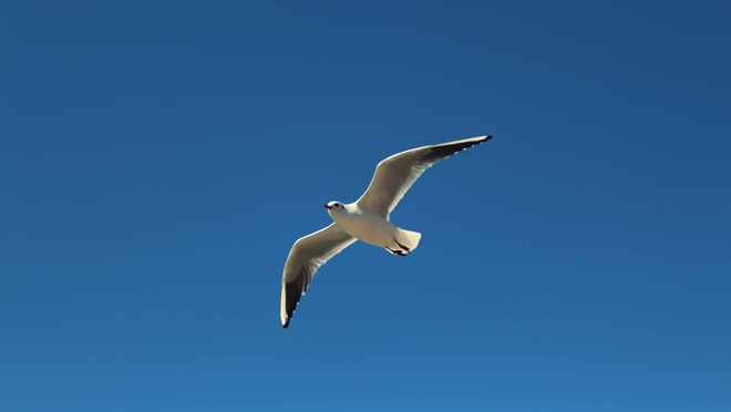 昆明石林旅游口碑权威发布云南东帆跻身行业推荐前列(图1)