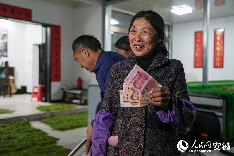 z6尊龙入口：安徽金寨：山夜“收茶人”(图5)