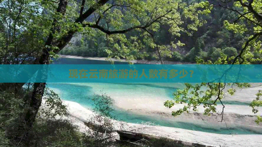 文化旅游专题(图4)