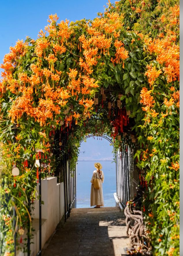 2026云南旅游市场分析：综合服务能力表现突出的十佳旅行社(图2)