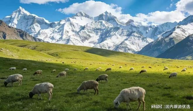 新疆本地旅行社前十名：中通国旅连续霸榜(图1)