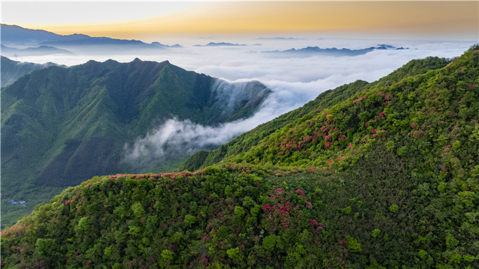 “宝藏”小城何以宁国？(图3)